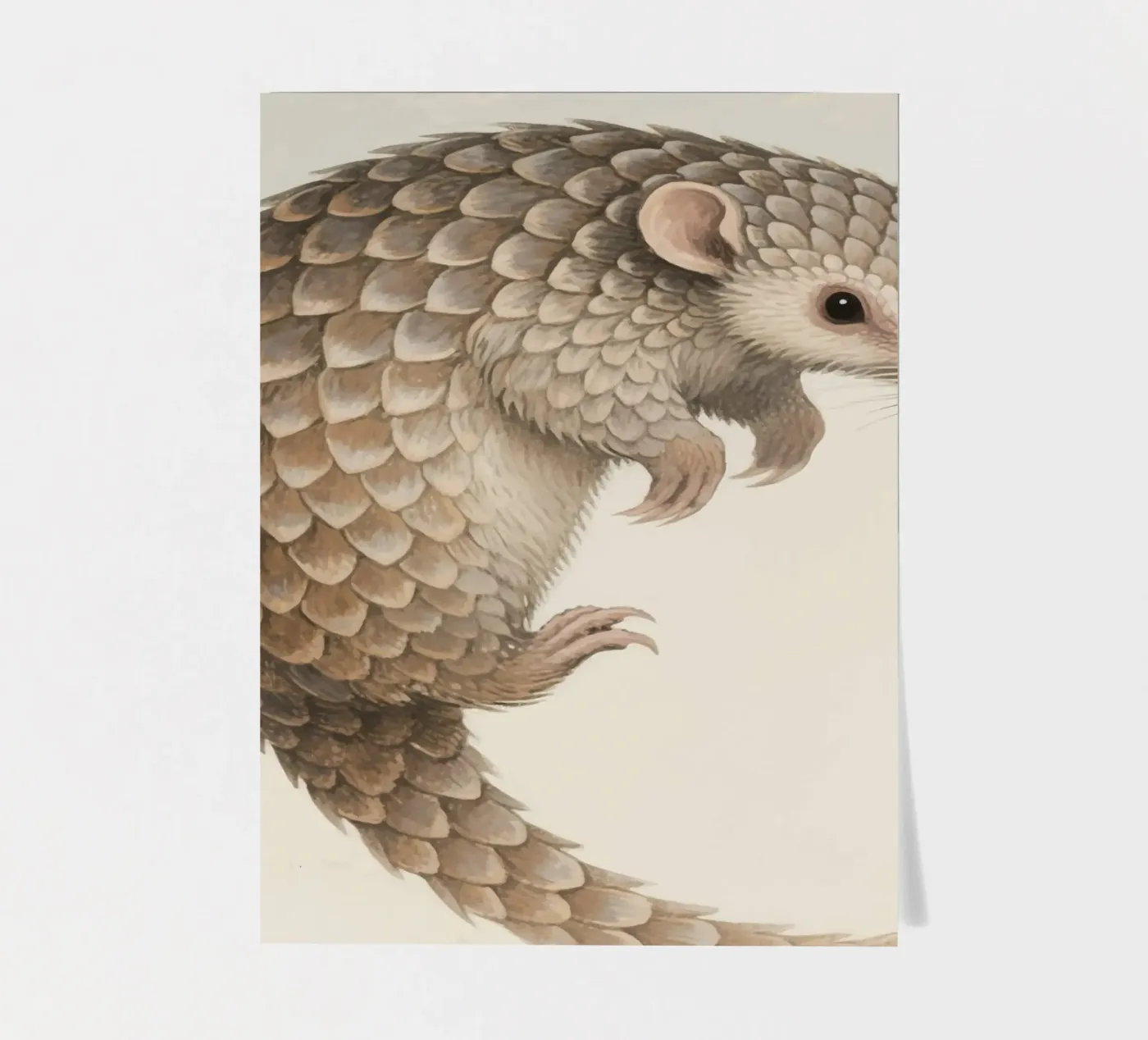 Pangolin sticker sheet by knowledge