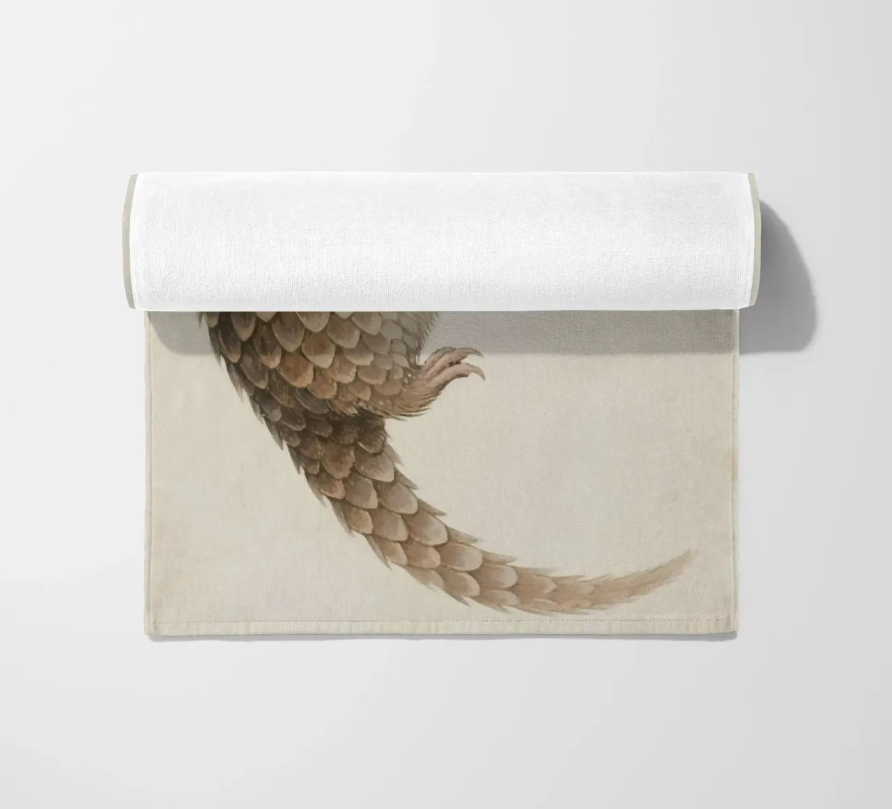 Pangolin telo mare da knowledge