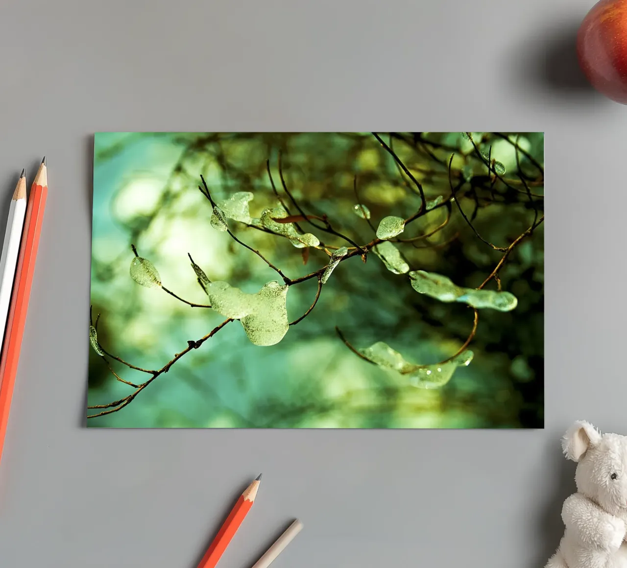 Smaragdgrüne Eistropfen auf winterlichen Zweigen - Fine Art Print Stickerbogen von jay