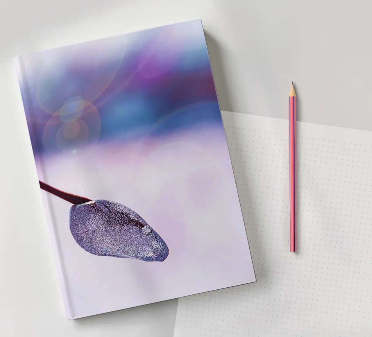 Frozen Branch with Soap Bubble Glow – Fine Art Photography P notebook by jay