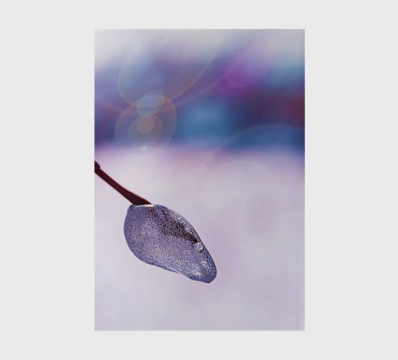 Frozen Branch with Soap Bubble Glow – Fine Art Photography P notebook by jay