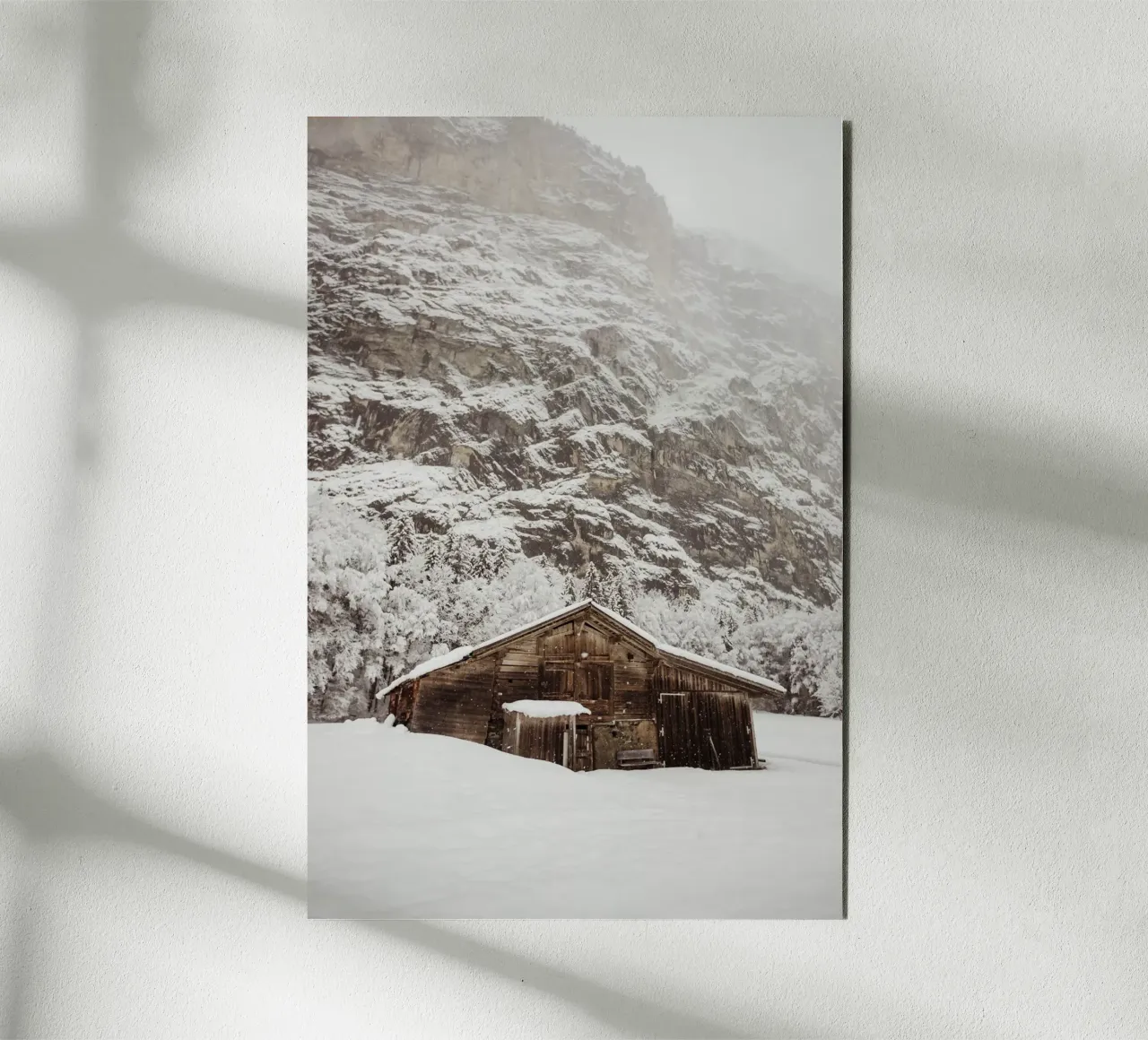 Quiet in the Snow alluminio dibond da Lena Stamm