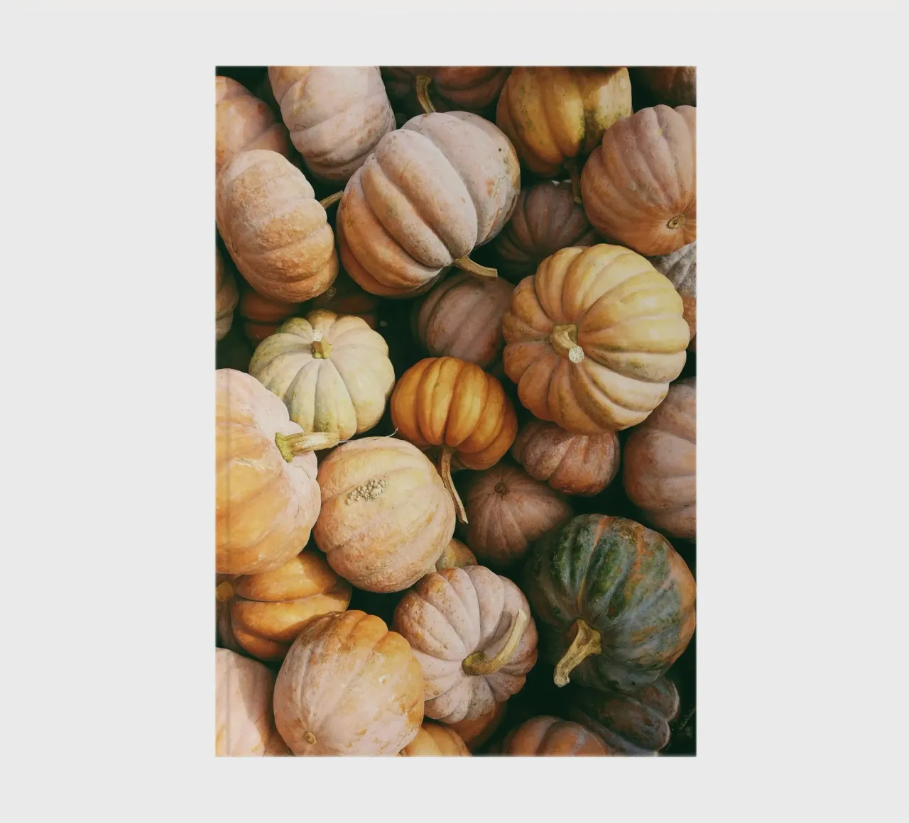 Zucche d'autunno diario da IamHomeStudio