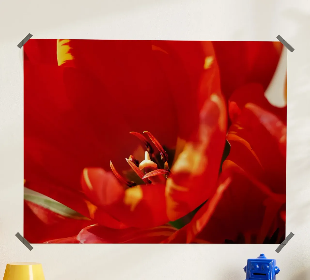 Tulipano rosso in primo piano - Stampa floreale fine art poster con telaio in plastica da jay