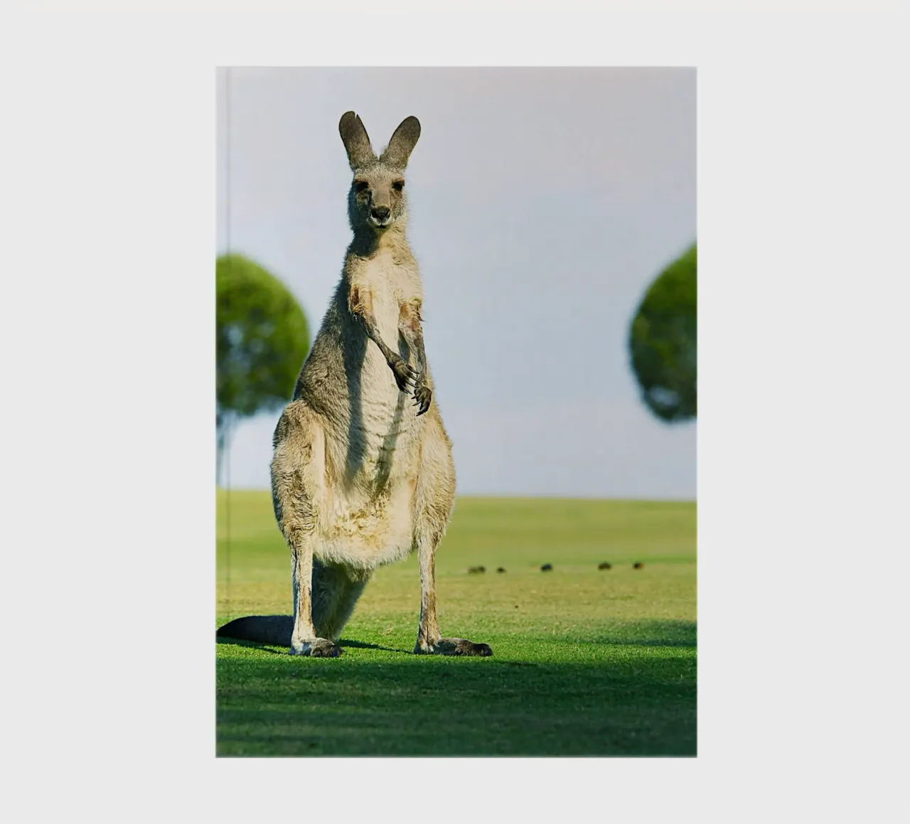 Leap into Design notebook by Nature's Palette