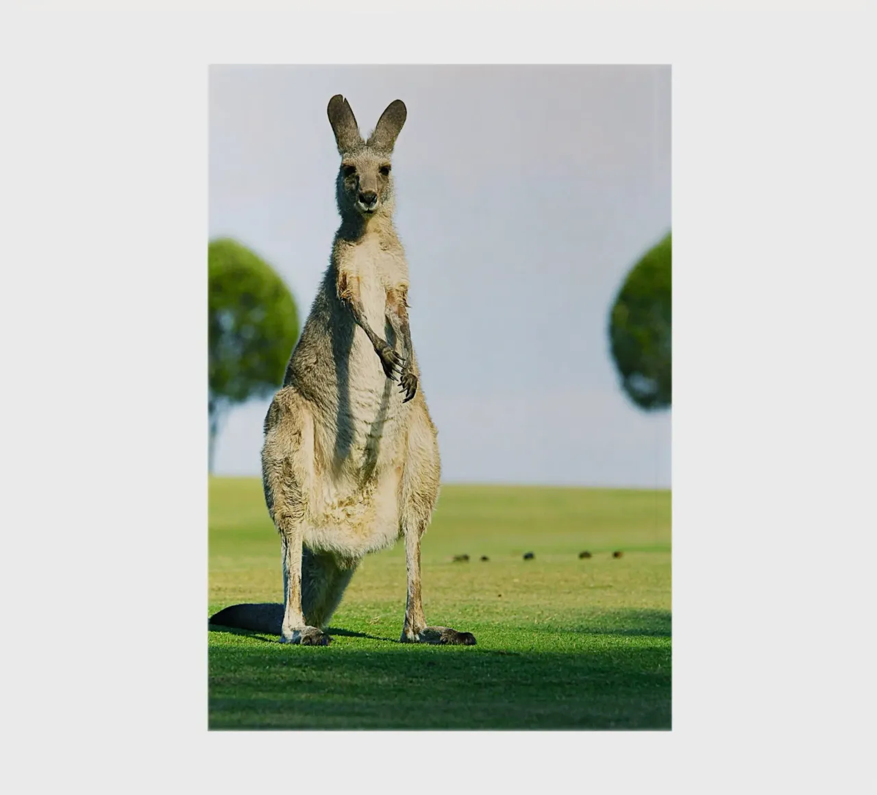 Leap into Design notebook by Nature's Palette