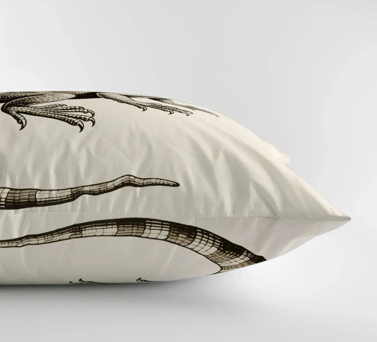Iguana cuscino da knowledge