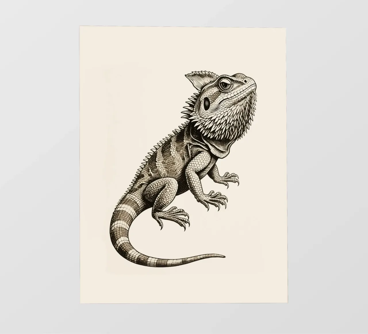 Iguana pellicola backlit da knowledge