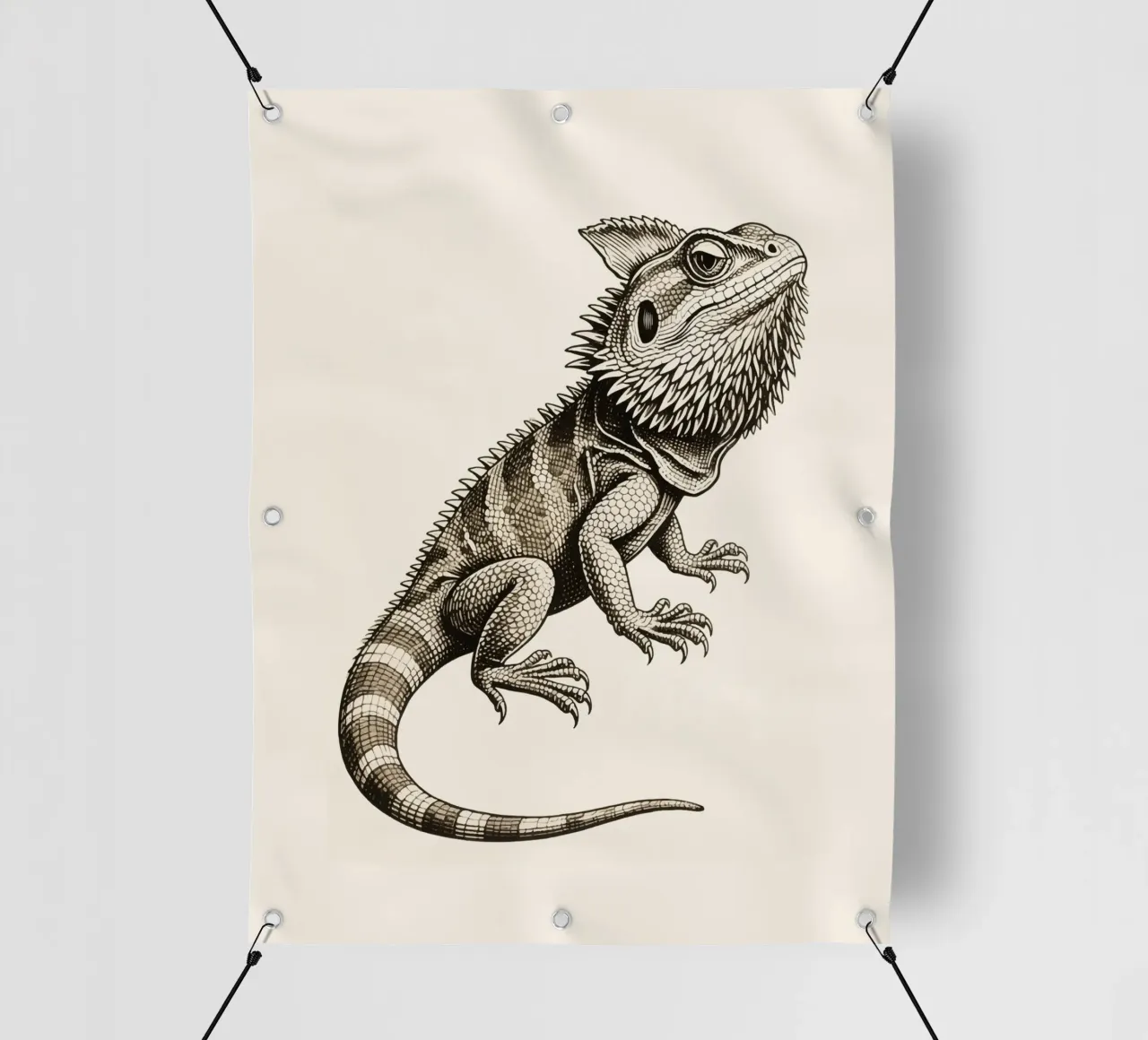 Iguana telo in pvc da knowledge