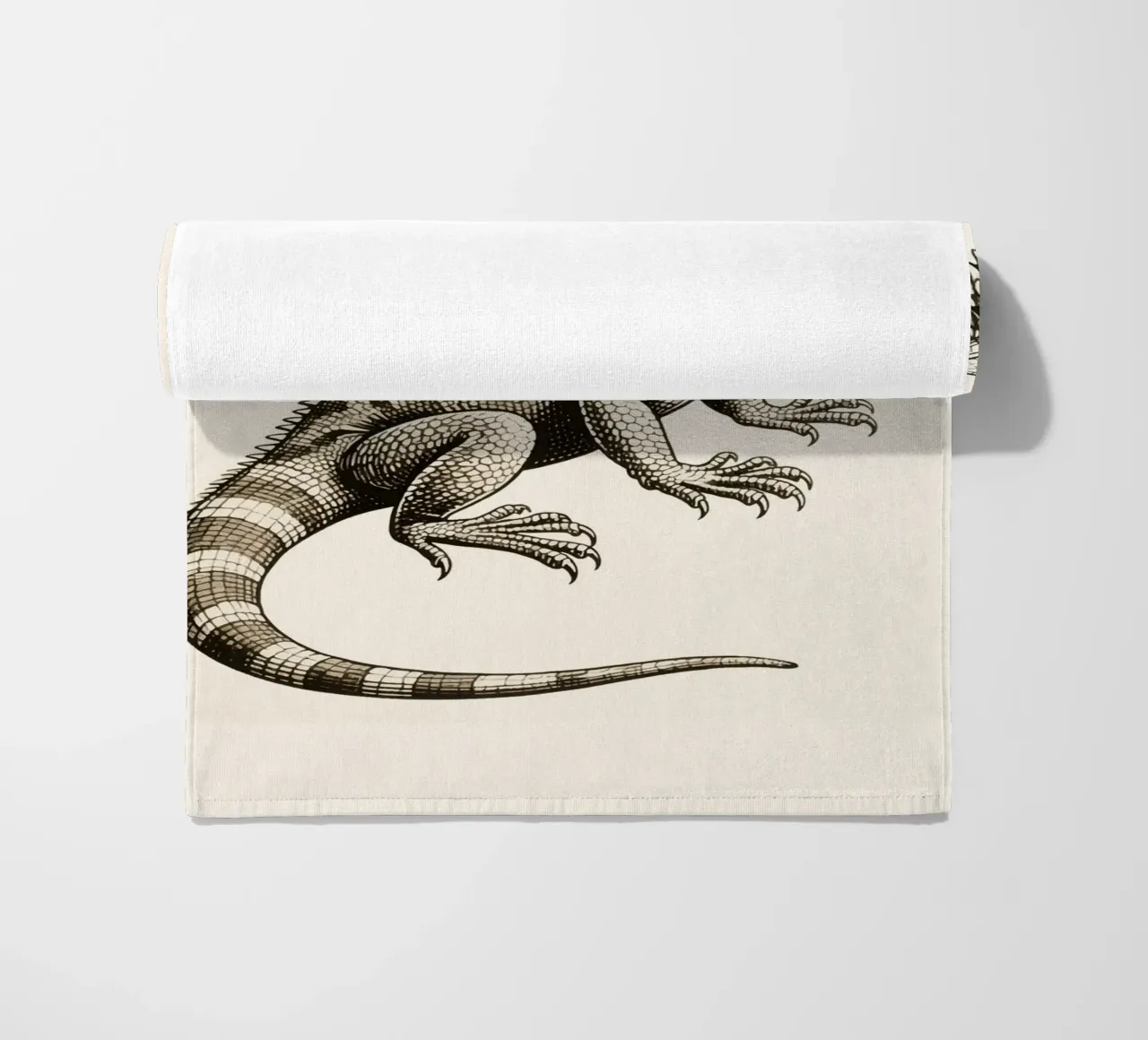 Iguana telo mare da knowledge