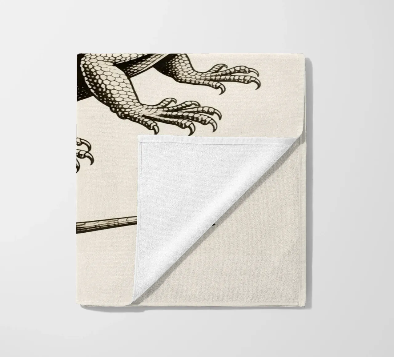 Iguana telo mare da knowledge