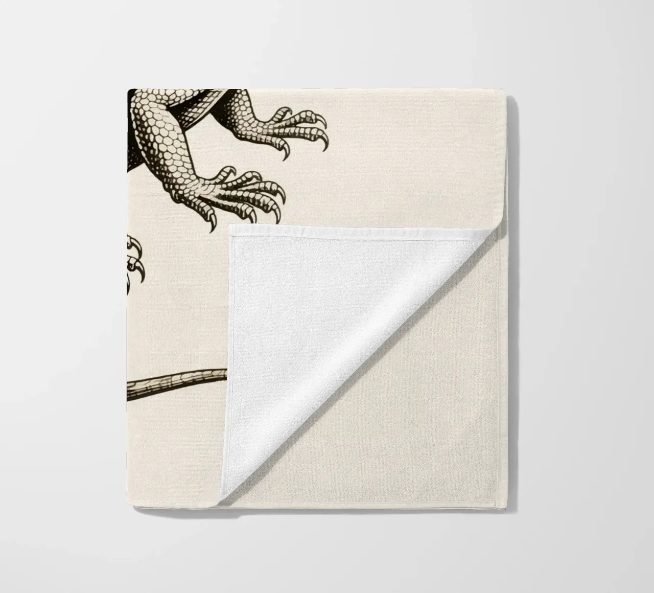 Iguana telo mare da knowledge