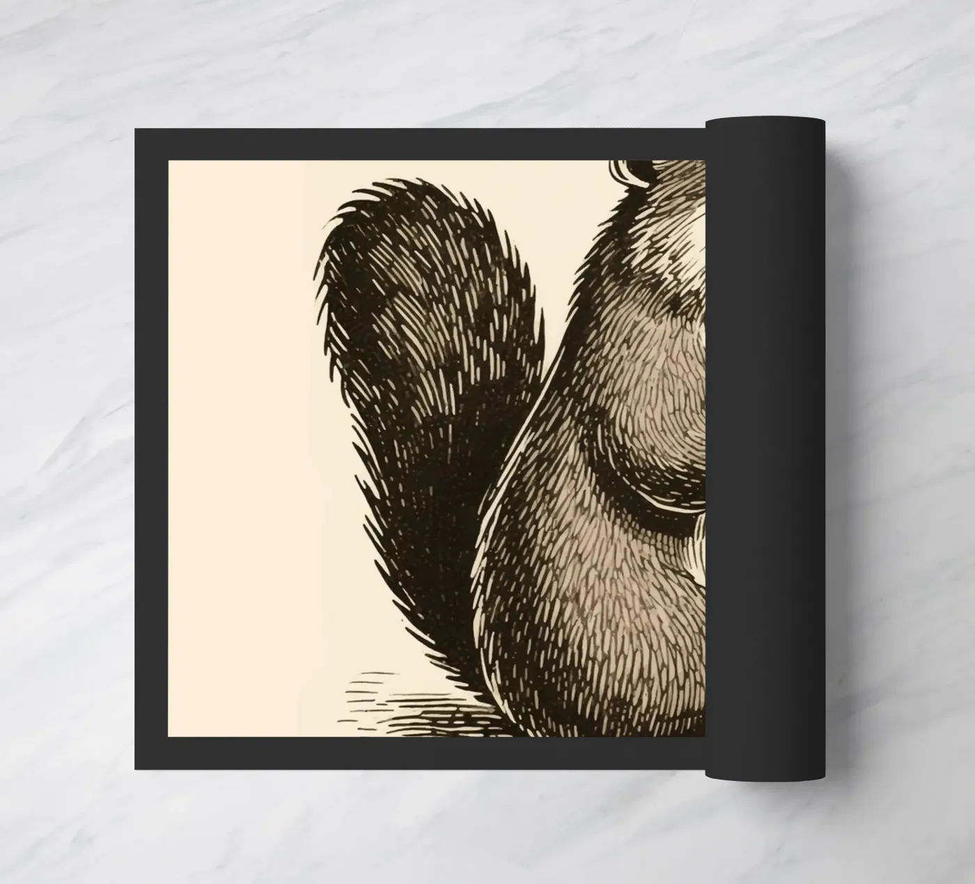 Castoro zerbino da knowledge