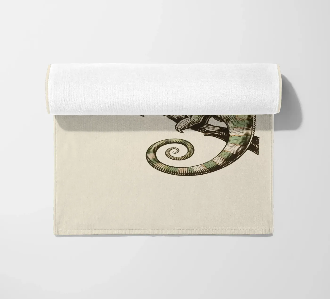 Camaleonte telo mare da knowledge