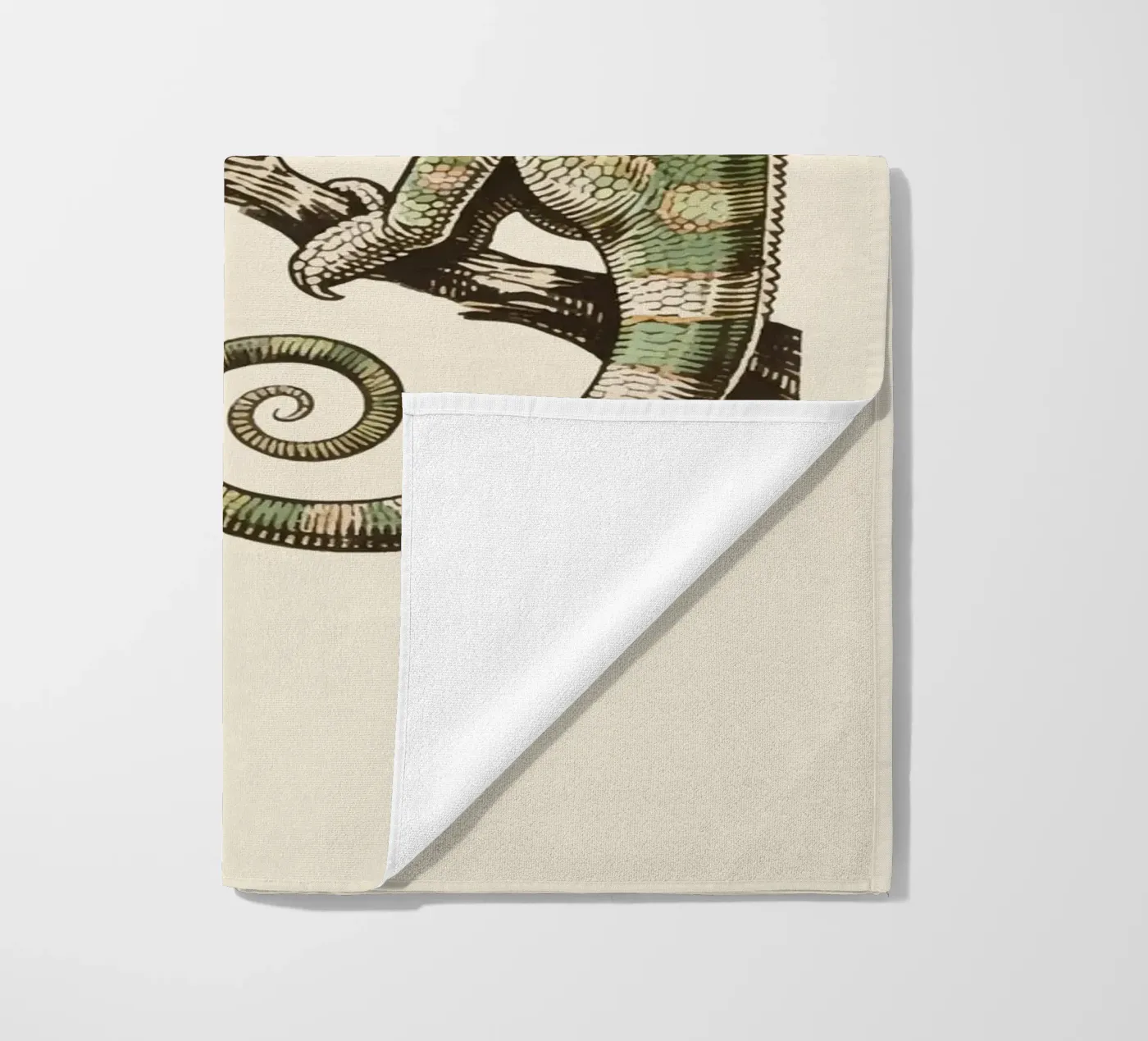 Camaleonte telo mare da knowledge