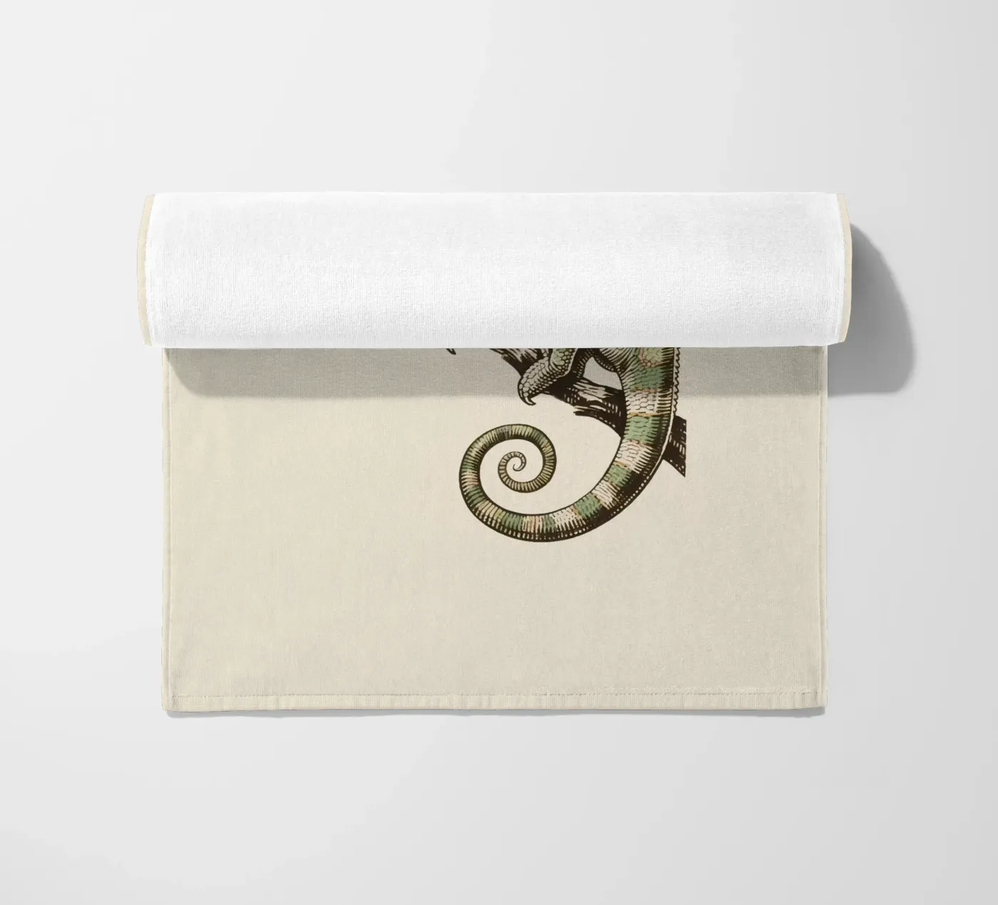 Camaleonte telo mare da knowledge