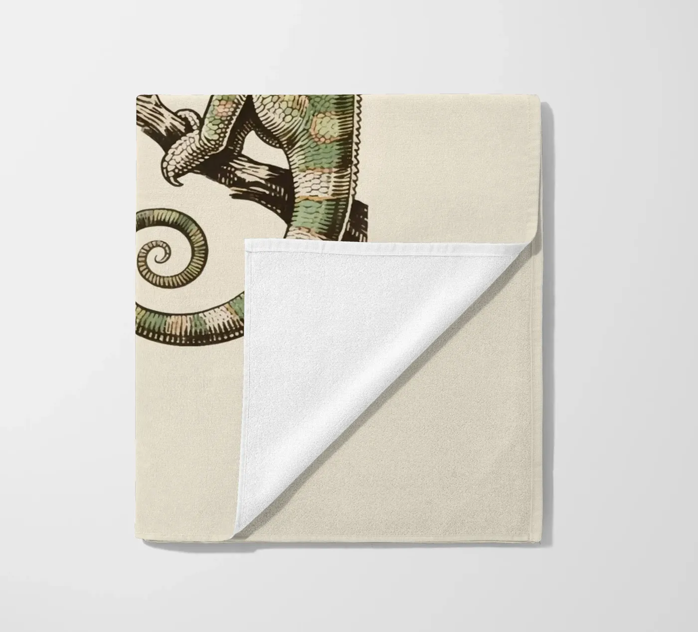 Camaleonte telo mare da knowledge