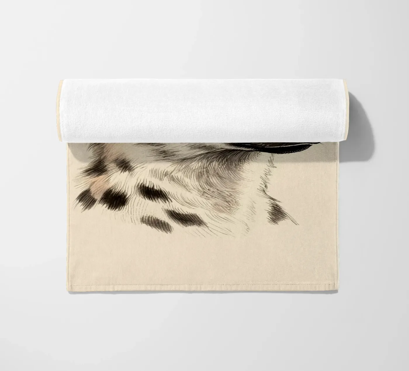 Iena telo mare da knowledge