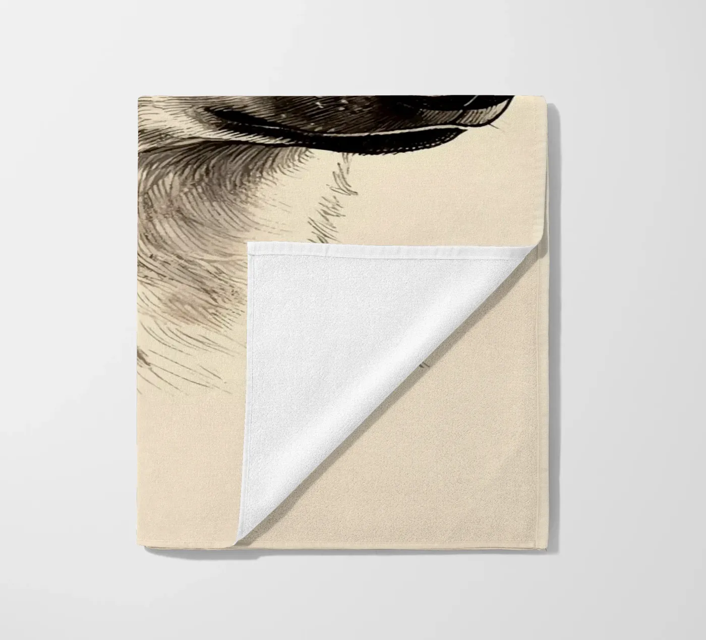 Iena telo mare da knowledge