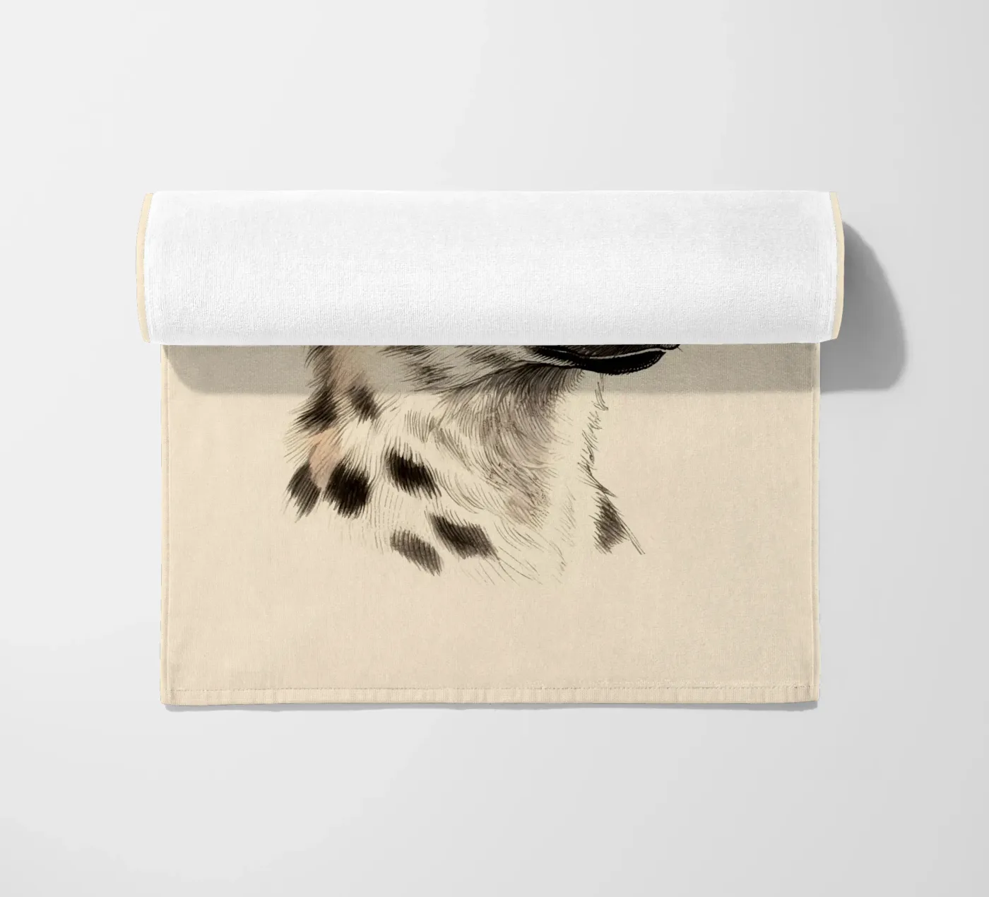 Iena telo mare da knowledge