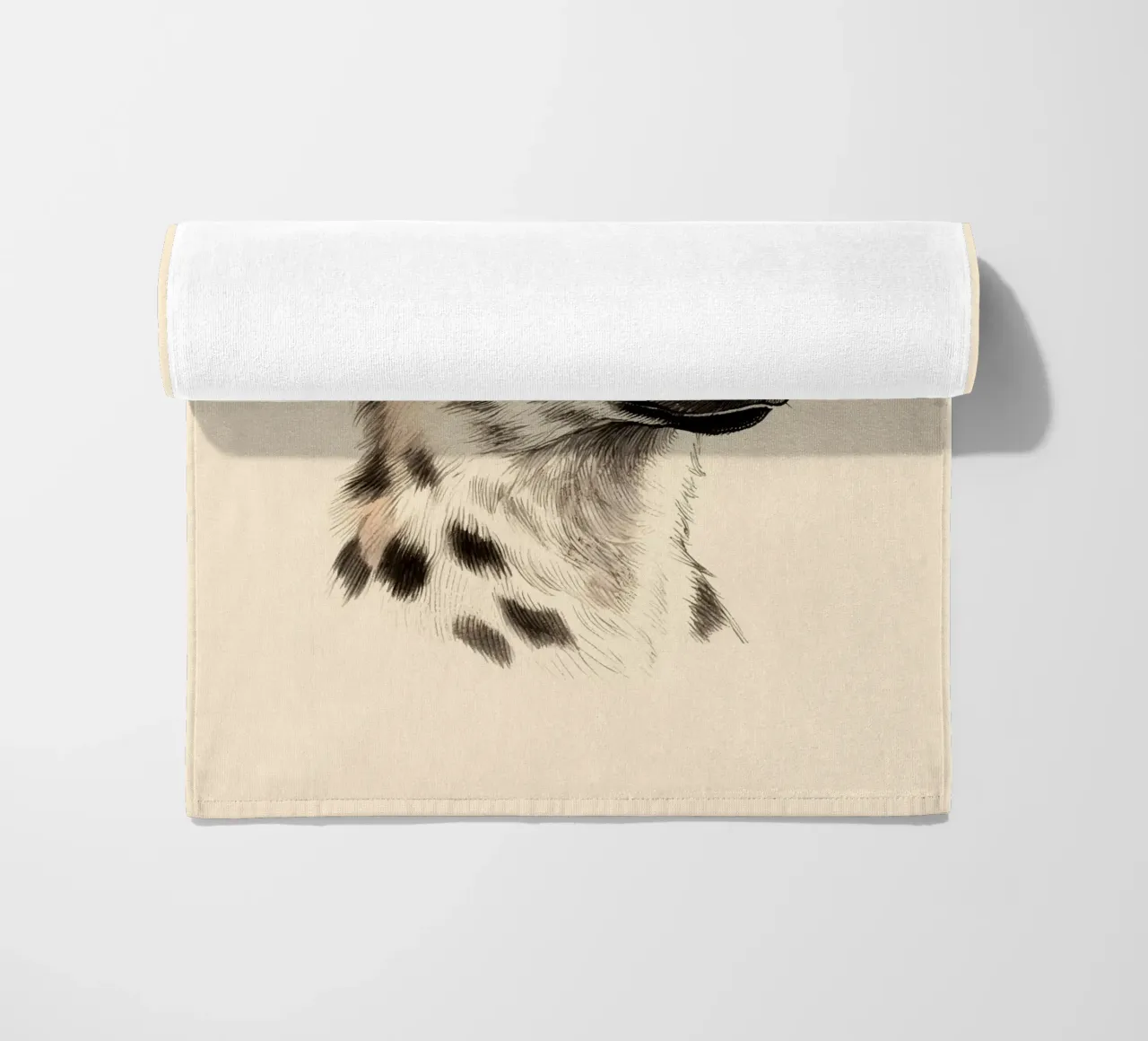 Iena telo mare da knowledge