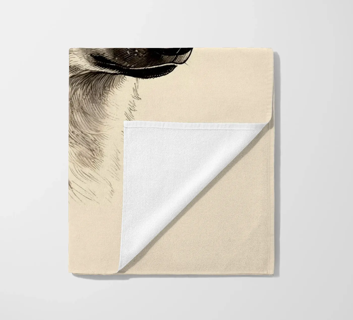 Iena telo mare da knowledge