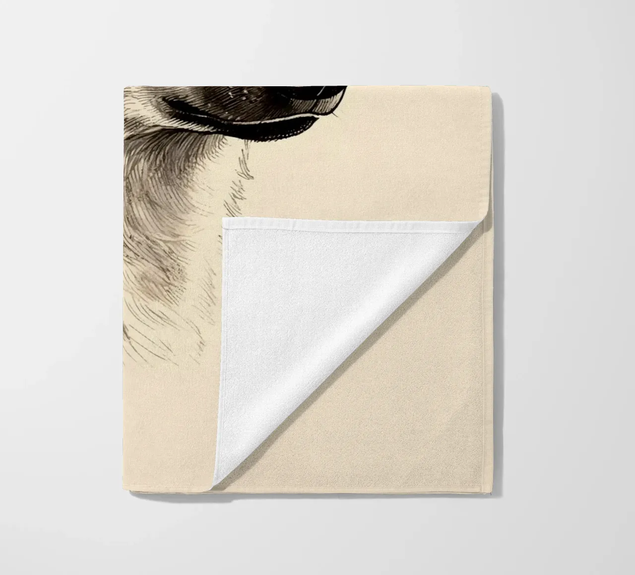 Iena telo mare da knowledge