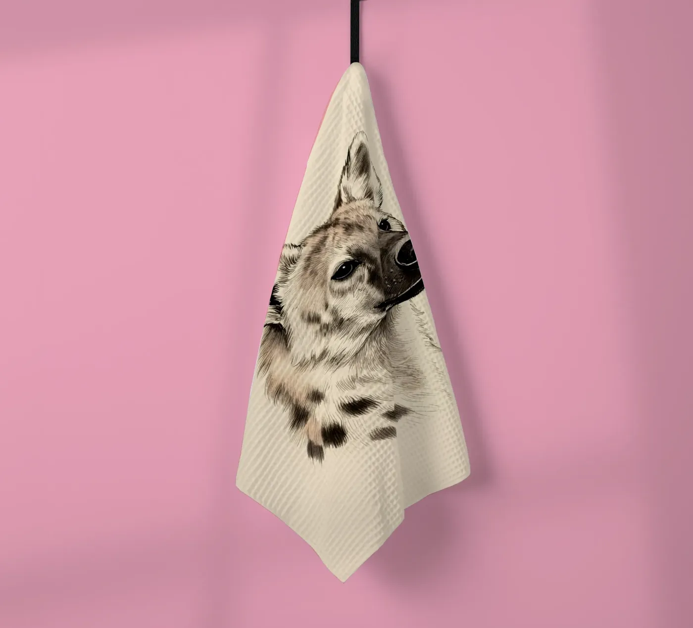 Hyena torchon de knowledge