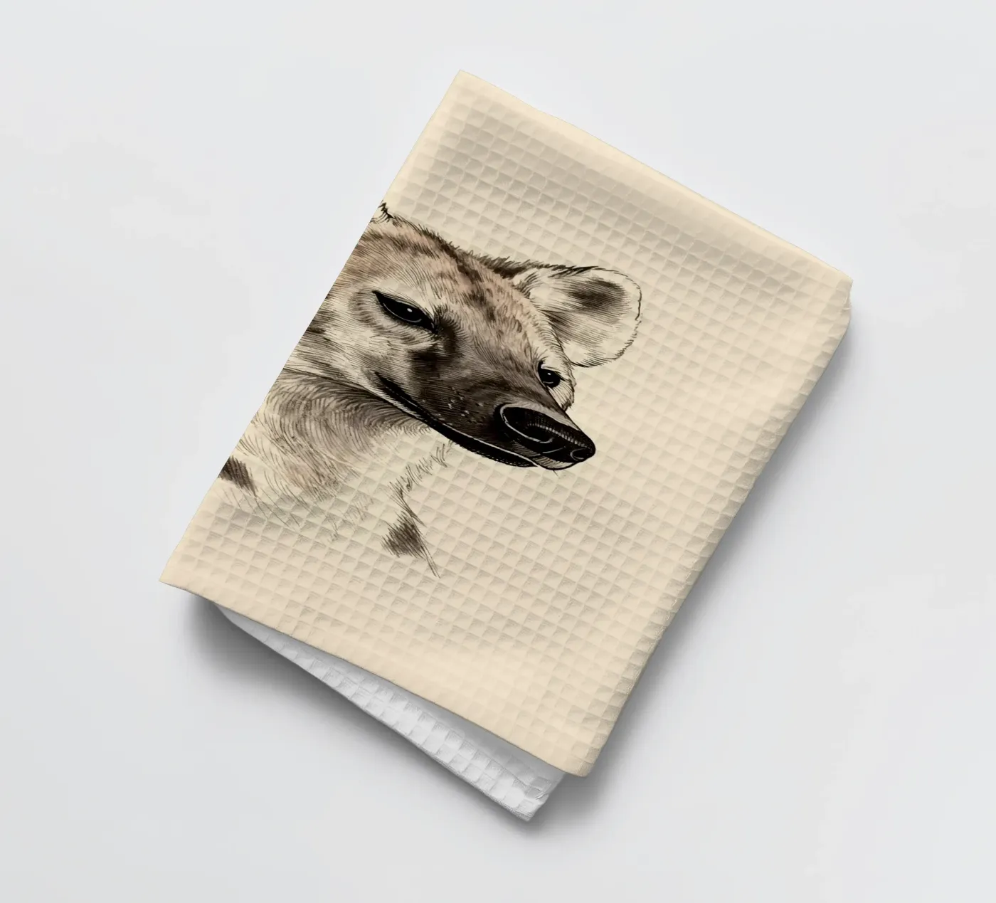 Hyena torchon de knowledge