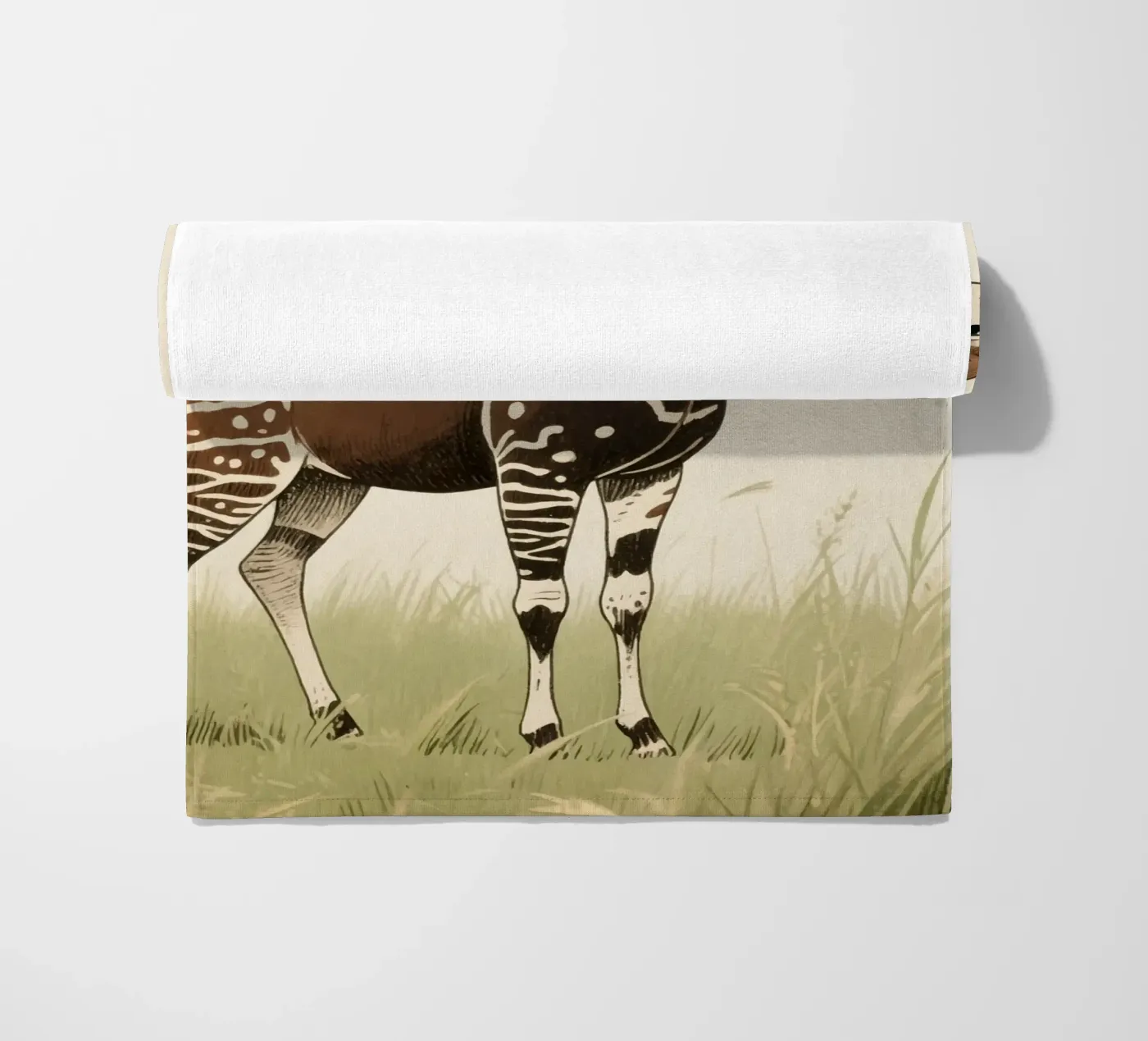 Animale Okapi telo mare da knowledge