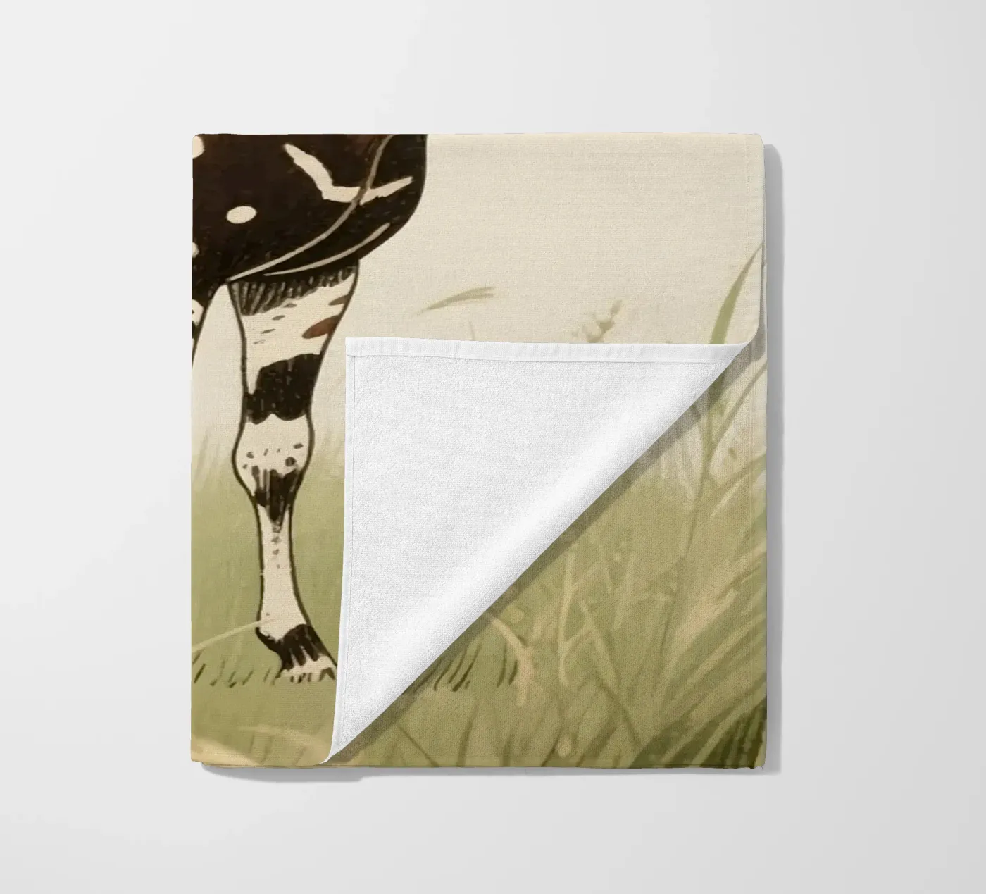 Animale Okapi telo mare da knowledge