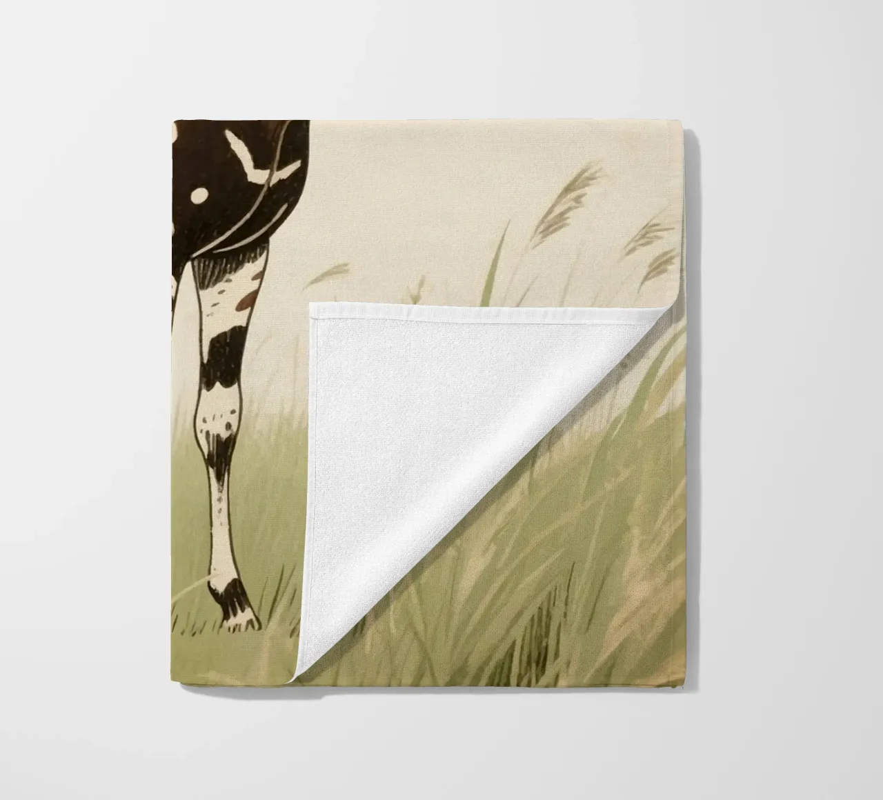 Animale Okapi telo mare da knowledge