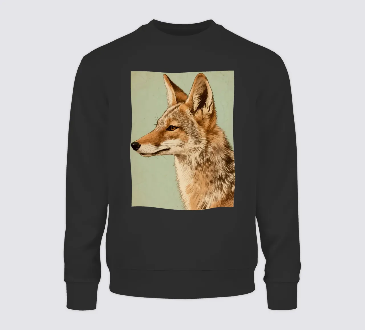 Sciacallo felpa da knowledge