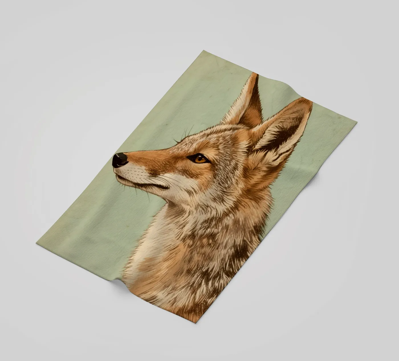 Jakhals strandhanddoek van knowledge