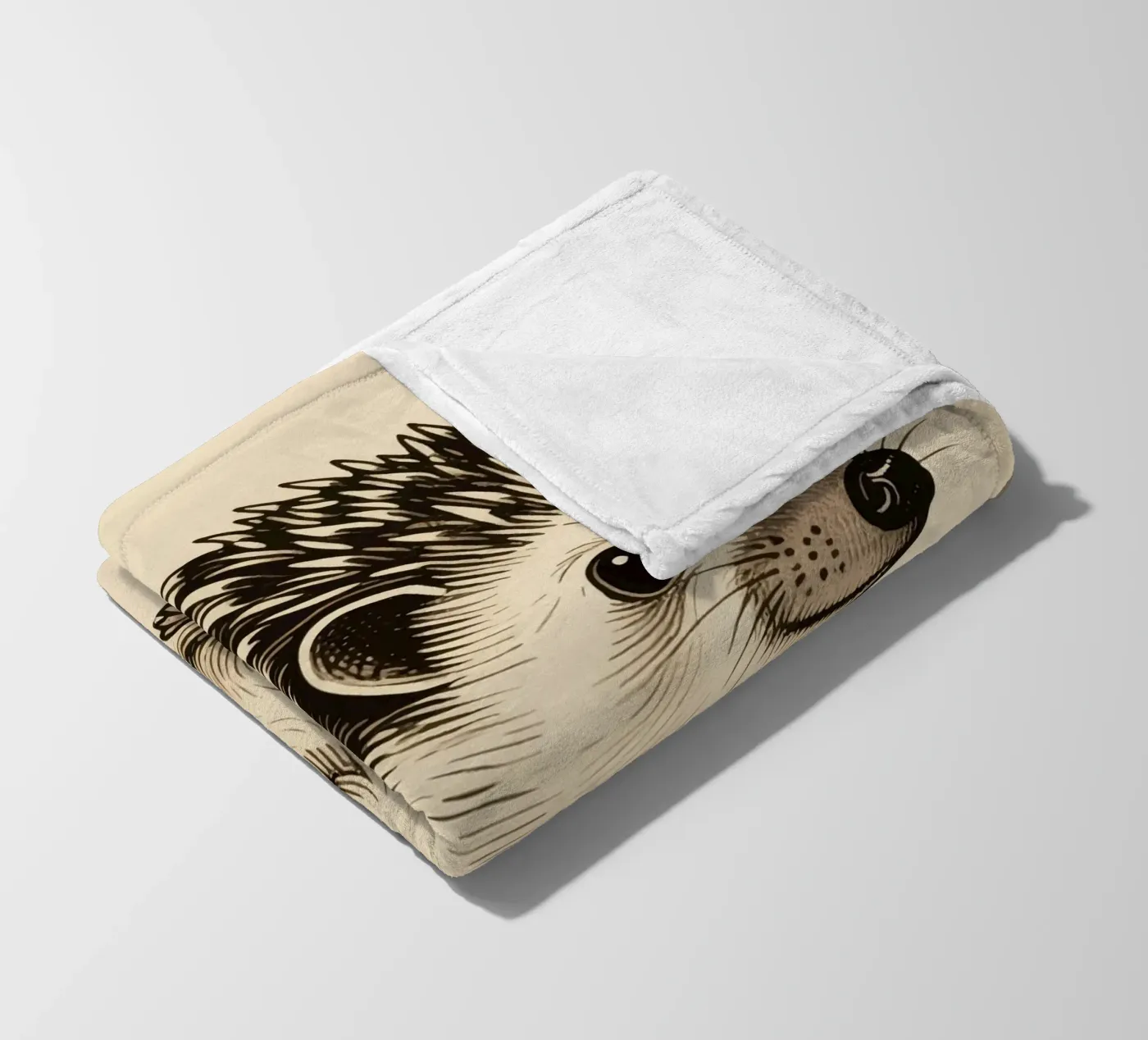 Riccio coperta in pile da knowledge