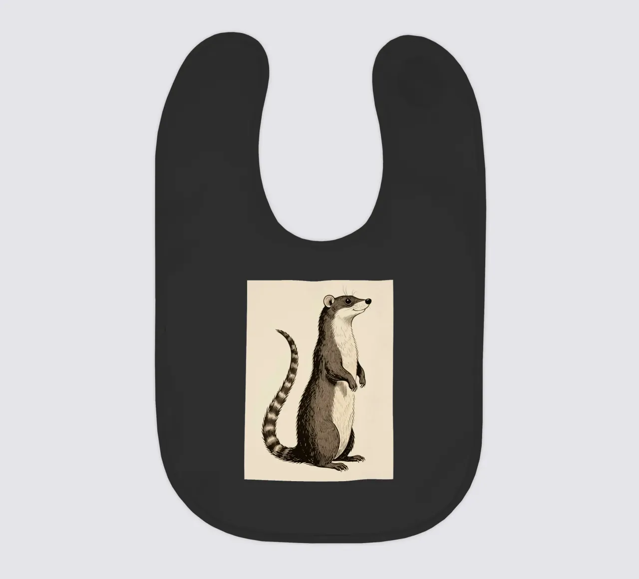 Mangusta bavaglino da knowledge