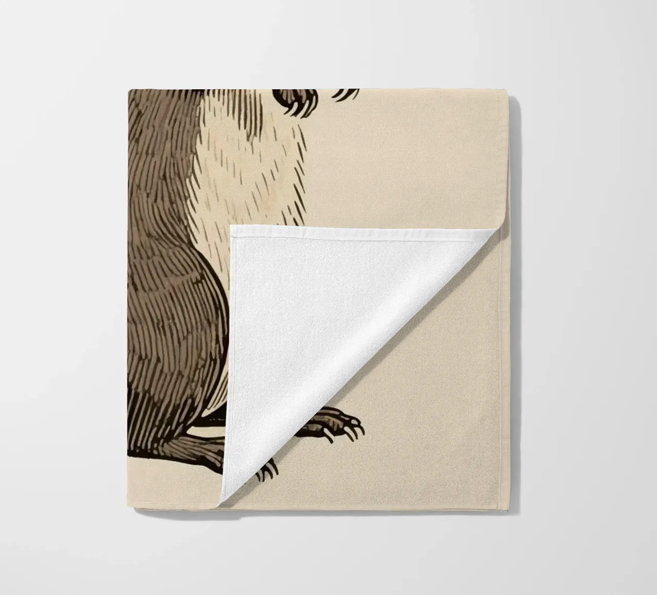 Mangusta telo mare da knowledge