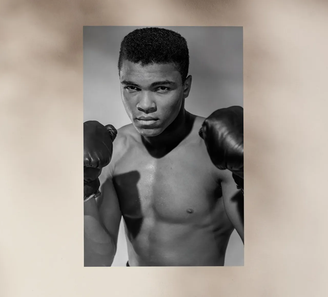 Muhammad Ali pellicola backlit da vintgeseyn