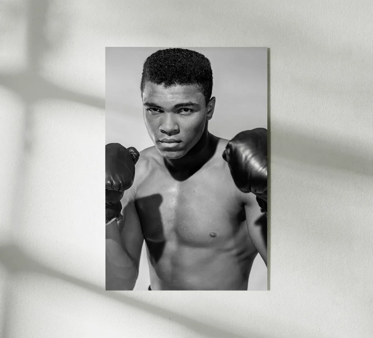 Muhammad Ali plexiglass da vintgeseyn