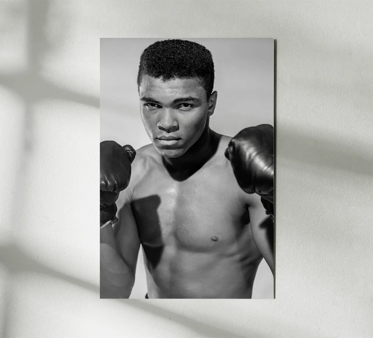 Muhammad Ali alluminio dibond da vintgeseyn