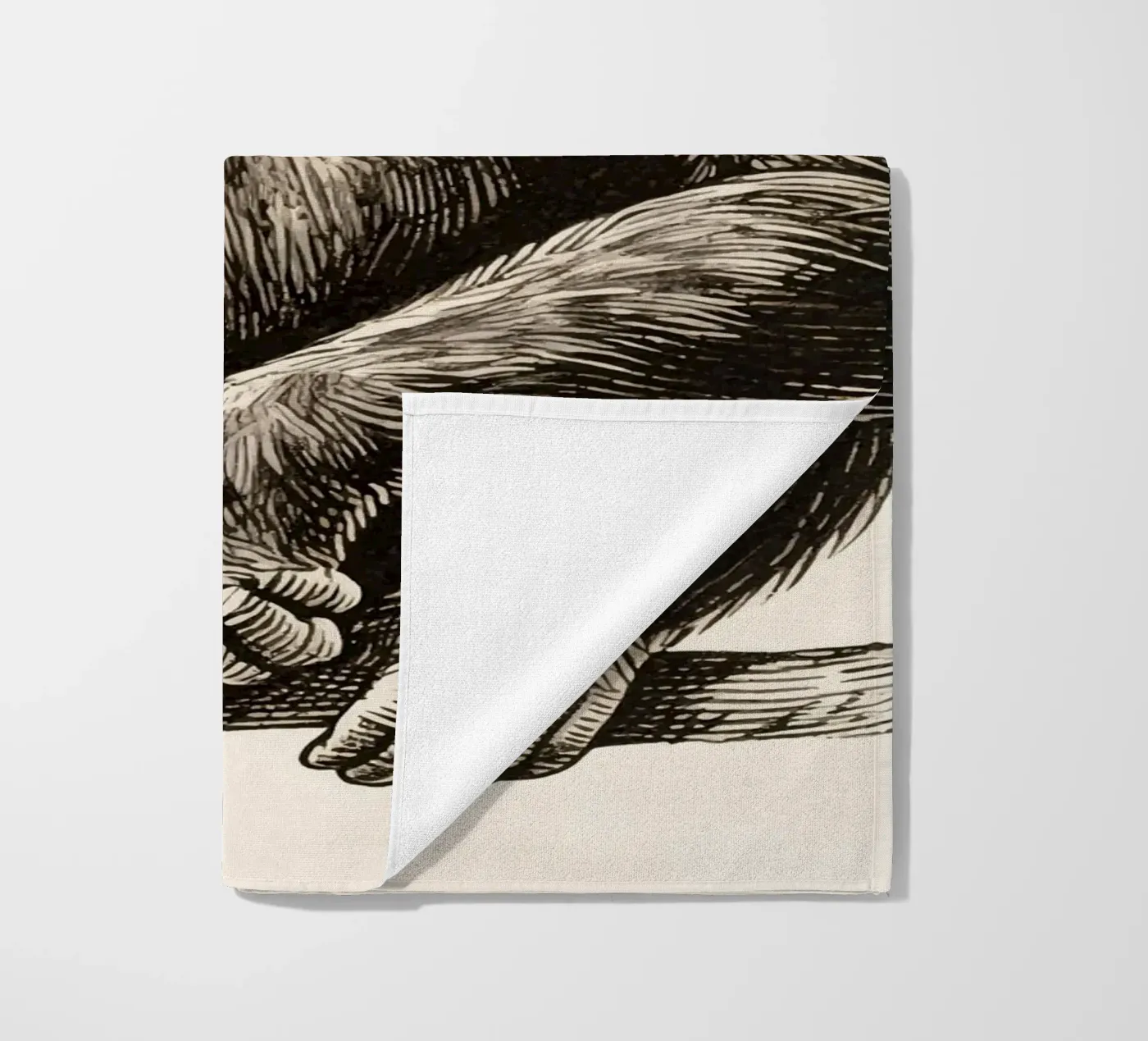 scimpanzé telo mare da knowledge