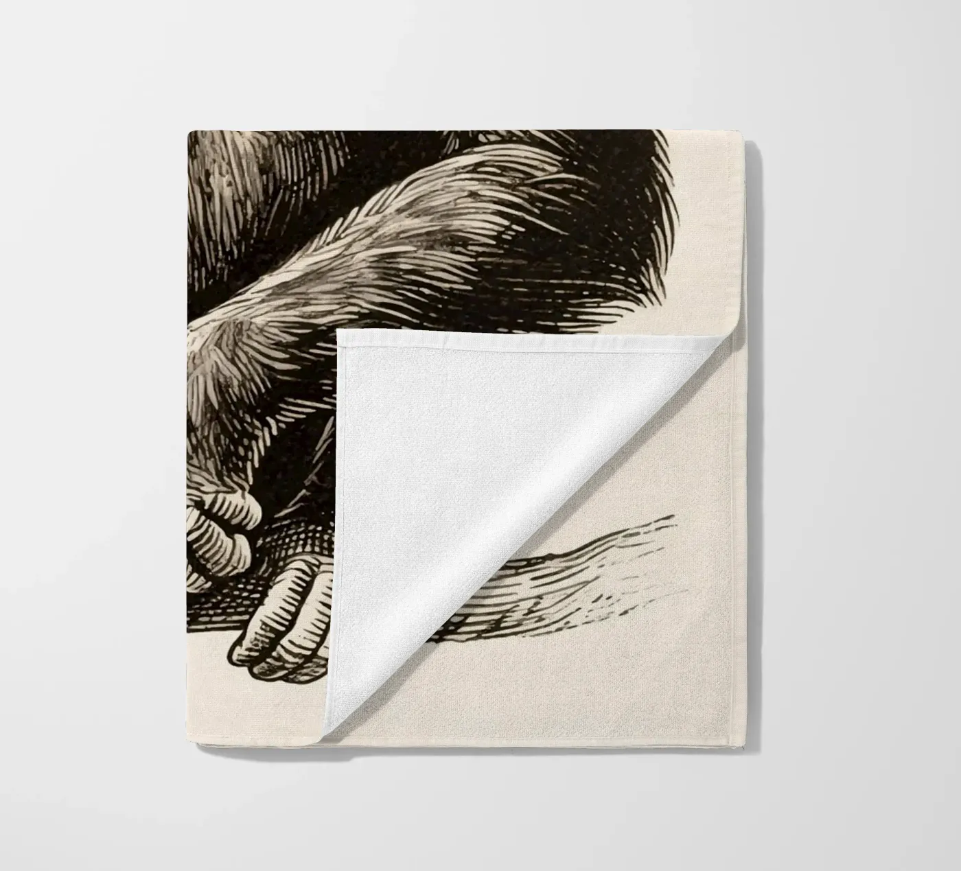 scimpanzé telo mare da knowledge