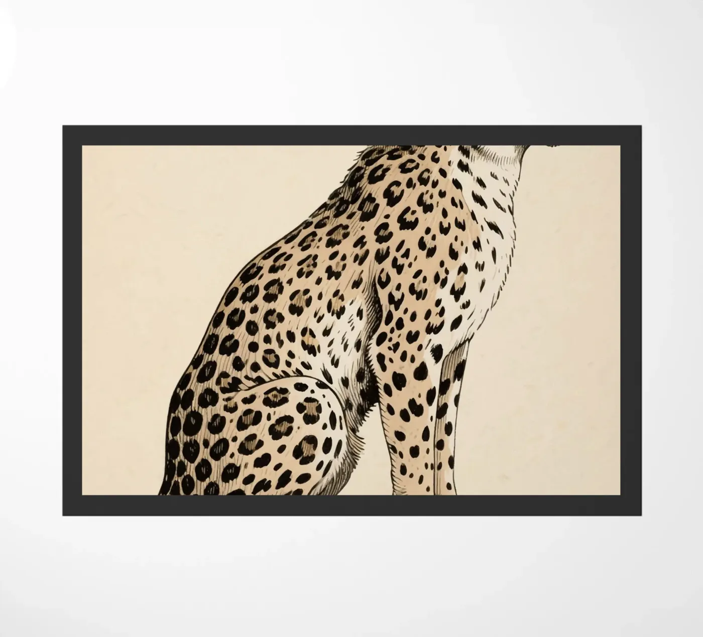 Ghepardo zerbino da knowledge