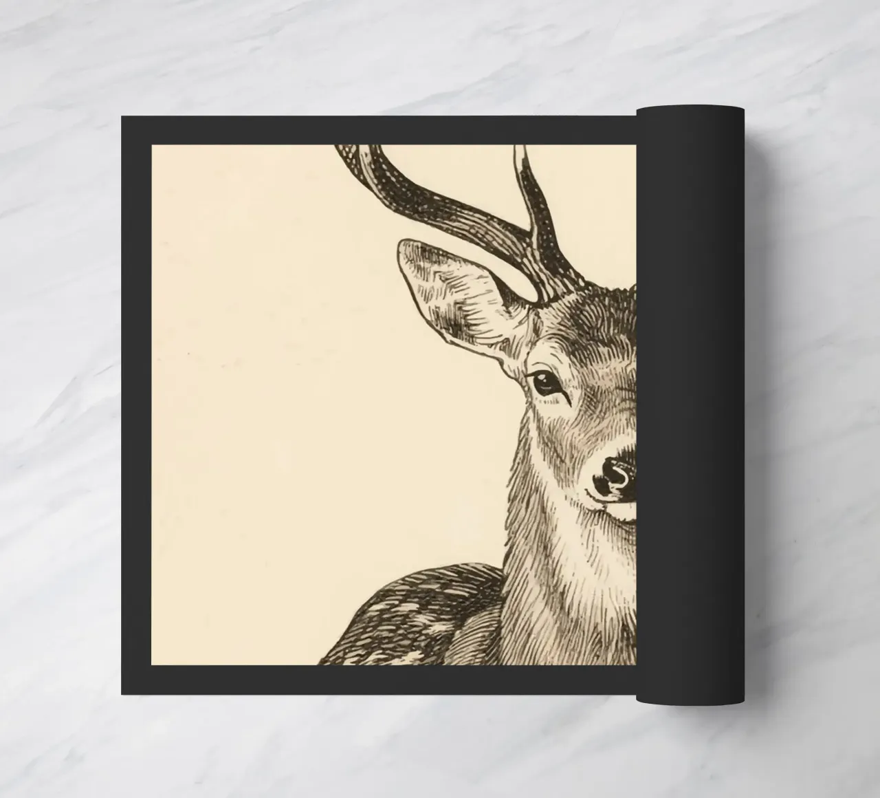 Cervo zerbino da knowledge