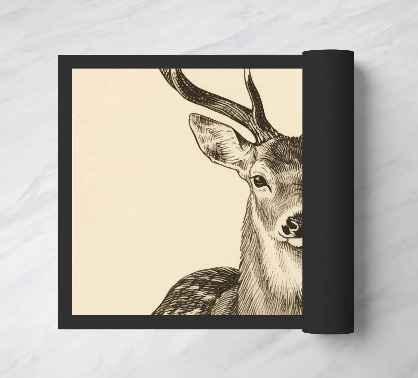 Cervo zerbino da knowledge