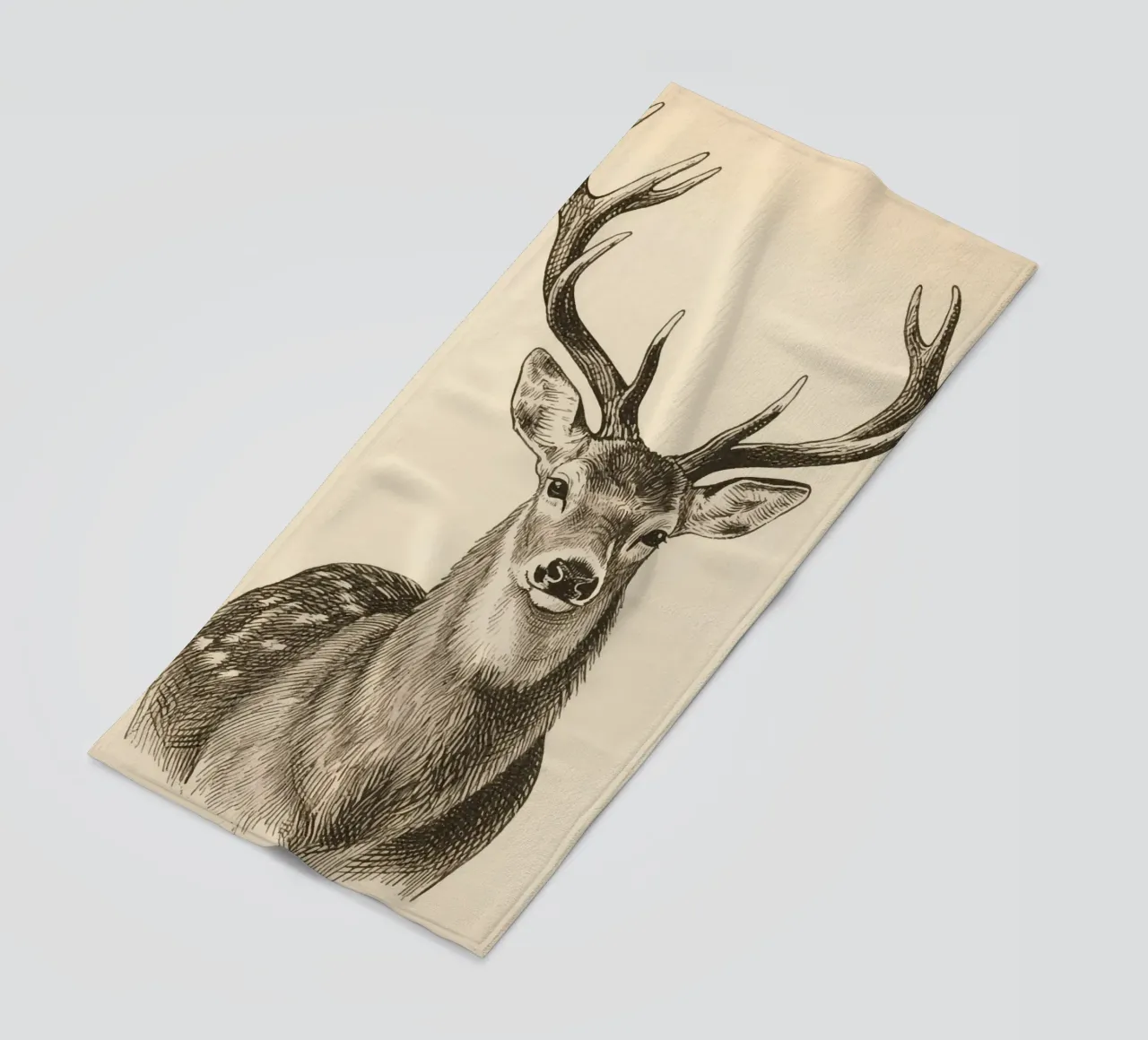 Cervo telo mare da knowledge