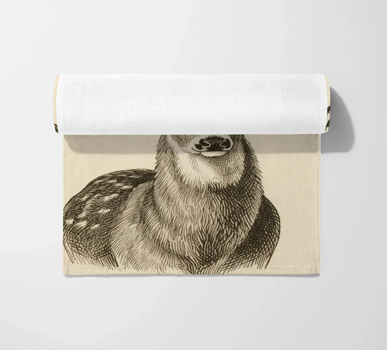 Cervo telo mare da knowledge