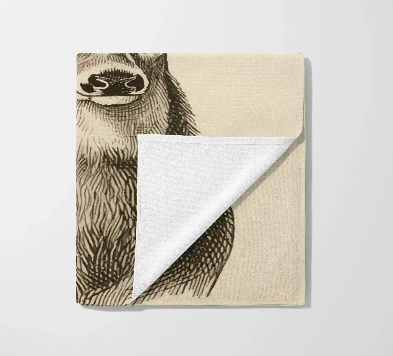 Cervo telo mare da knowledge