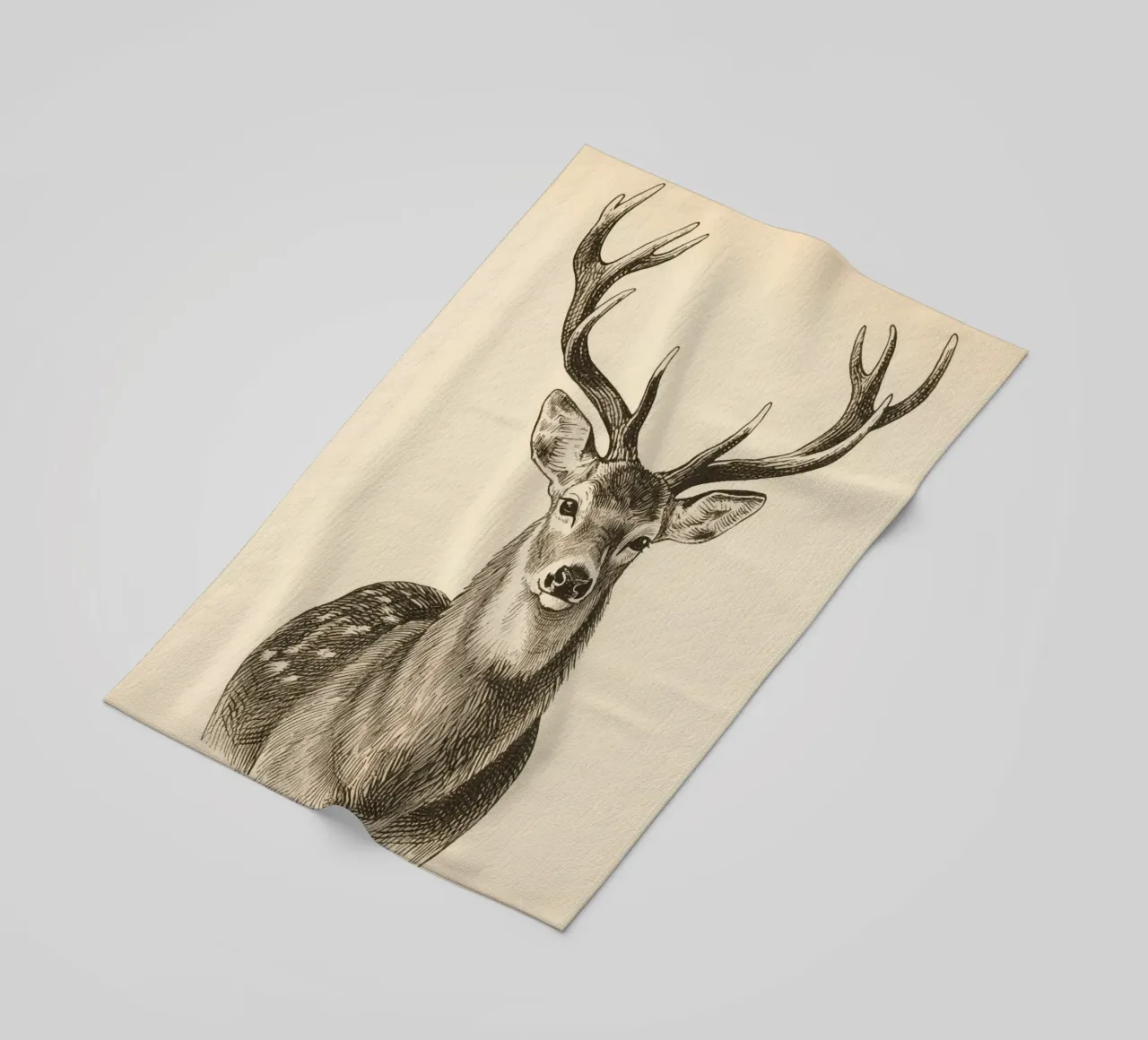 Cervo telo mare da knowledge