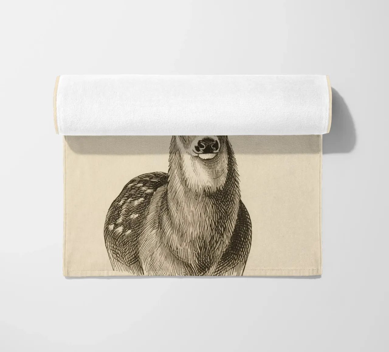 Cervo telo mare da knowledge